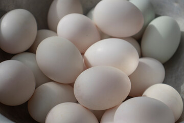 Organic eggs on the basin