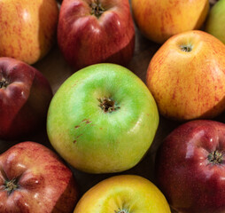 Tasty green, yellow and red apples. Healthy and nutritious food