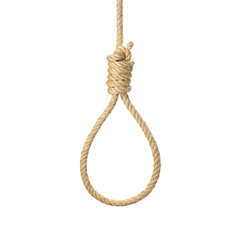 Rope noose for hangman, suicide made of natural fiber rope real photo image. Hemp rope Rope knot for gallows and Hang mans.  isolate on white background - obrazy, fototapety, plakaty
