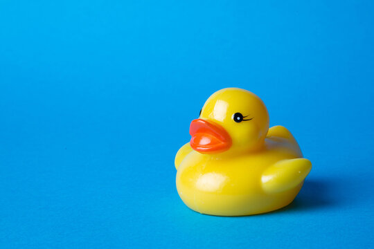yellow rubber toy duck on blue background