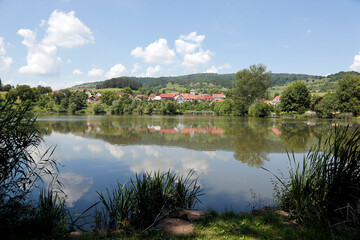 Fototapeta premium Pond, biotope, fish pond, fish, animals, Thuringia, Germany, Europe