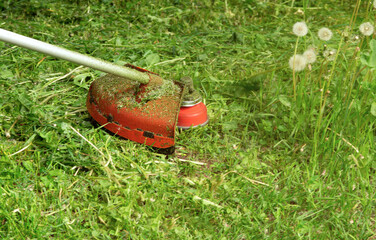 Mowing grass on a garden plot with a trimmer.Selective focus
