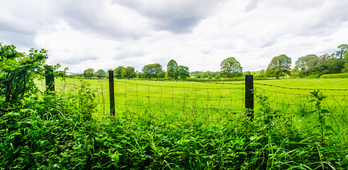 wire fence and hedge enclosing farmland at Sedgwick