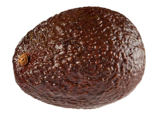 Brown mango isolated on white background.