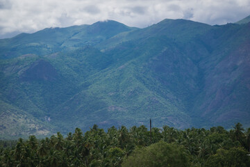 Beautiful mountain view with trees in Theni, India