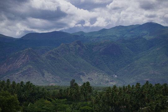 Beautiful mountain view with clouds floating on its peak and coconut trees on the bottom in Theni, India