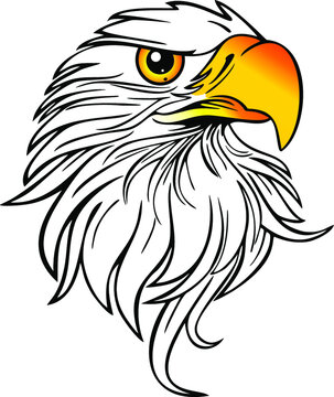 Eagle Head Isolated Images – Browse 39,973 Stock Photos, Vectors, and ...
