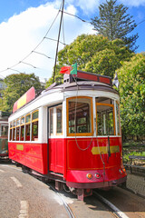 Fototapeta na wymiar Historic red tram against trees, part of the tramway network since 1873, Lisbon, capital city of Portugal.