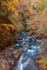 【2019年】山梨県富士川町・大柳川渓谷