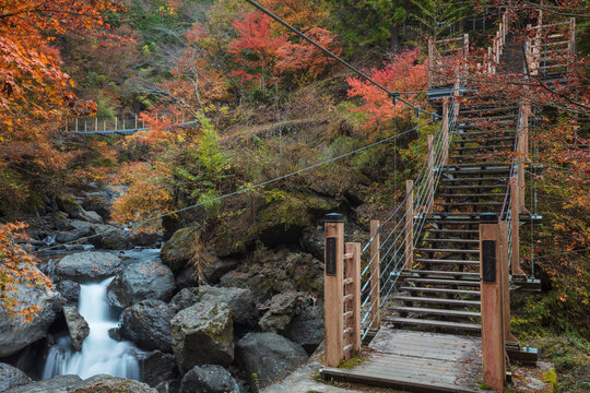 【2019年】山梨県富士川町・大柳川渓谷