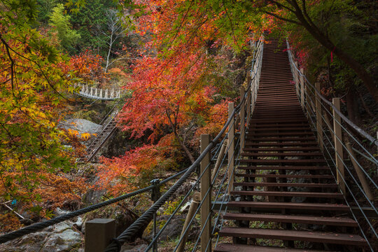 【2019年】山梨県富士川町・大柳川渓谷