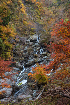 【2019年】山梨県富士川町・大柳川渓谷