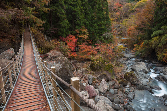 【2019年】山梨県富士川町・大柳川渓谷