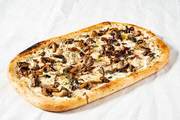 italian pizza with mushrooms and sauce