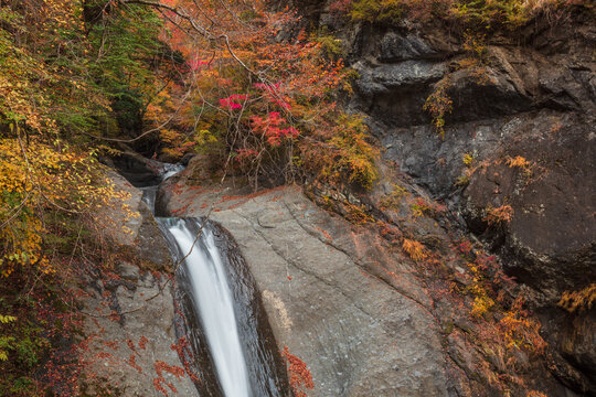【2019年】山梨県富士川町・大柳川渓谷