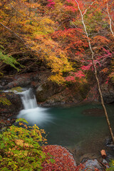 【2019年】山梨県富士川町・大柳川渓谷