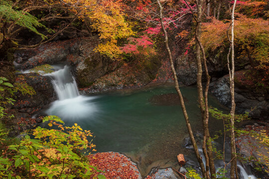 【2019年】山梨県富士川町・大柳川渓谷