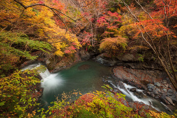 【2019年】山梨県富士川町・大柳川渓谷