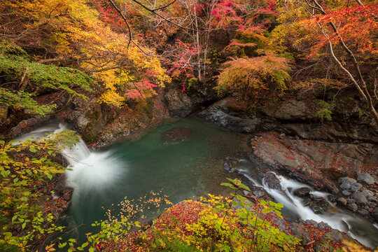 【2019年】山梨県富士川町・大柳川渓谷