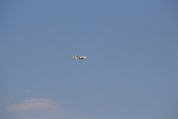 aereo