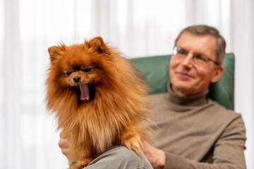 Smiling mature man with a little furry dog in his arms