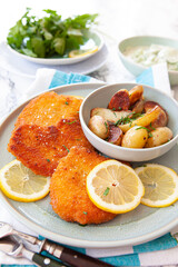 Schnitzel mit Gurkensalat