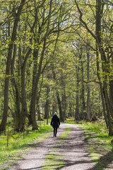 Woman on a walk in a beautiful forest in spring season