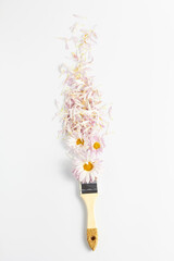 floral creative concept. paintbrush and pink paint. fresh flowers and petals of chrysanthemum flowers on a white background. vertical frame, flat lay