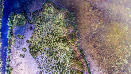 Top view of a beautiful landscape with grass and marshland