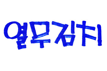 Yeolmu kimchi hand written in korean food name in hangeul
