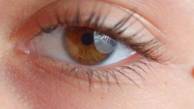 Close Up / Macro Shot of Brown Eye looking at Camera, Natural Beauty 