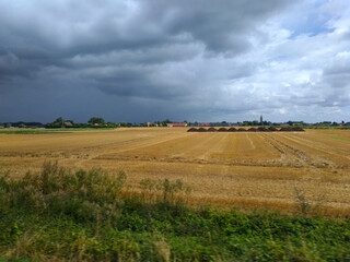 Fototapeta na wymiar View of the field after harvesting. Dark sky before the rain over the field.