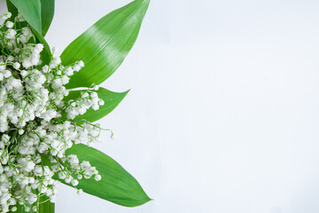isolated bouquet of lilies of the valley on a white background.