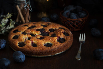 Moody photography of plum cake with cinnamon