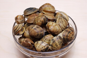 Vongole clams are ready for cooking. Fresh clams.
