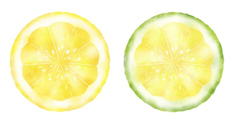 水彩タッチな柑橘の輪切り、レモンとライム、グリーンレモン