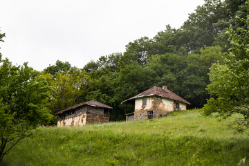 Plakat Old rustic abandoned house surrounded with forest on mountain in Lisine, Serbia
