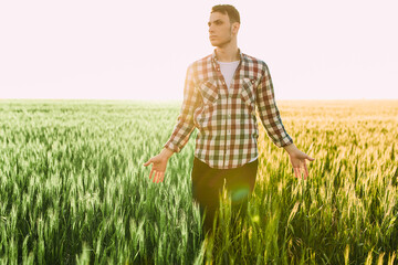 man a farmer stands in a wheat field against the background of a Sunny sunset, wheat blooms