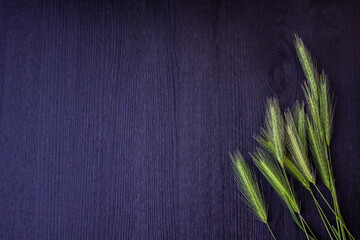 Green spikelets  on the dark wood background. Green spikelets  on wood table background. Top view with copy space for the design or text