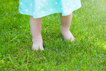 baby feet barefoot on grass summer park green lawn