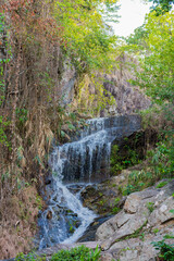 Wat Phra That Doi Suthep area. Chiang Mai, Thailand
