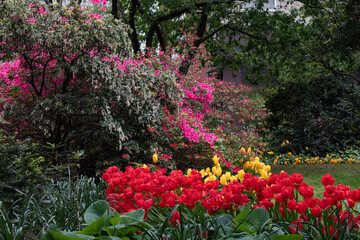 Beautiful Spring Garden with Colorful Flowers and Plants in a City