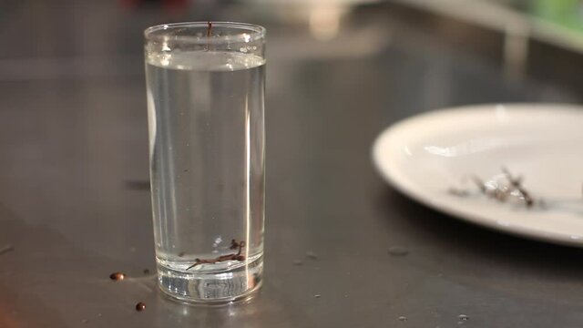 Molding chocolate with water. Chocolate hardening