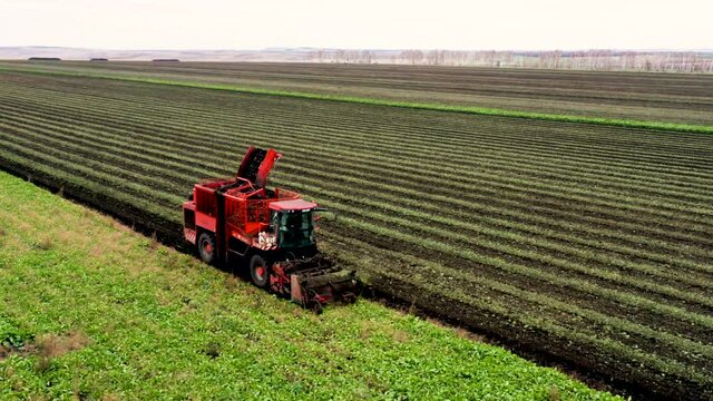 Taken from a drone red harvester collects beets. Russia, Bashkortostan