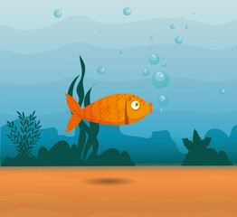 ornamental fish animal marine in ocean, sea world dweller, cute underwater creature,habitat marine vector illustration design