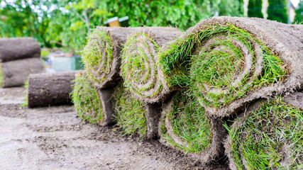 grass rolls prepared for laying in the garden - laying lawn from a roll - sod for new lawn
