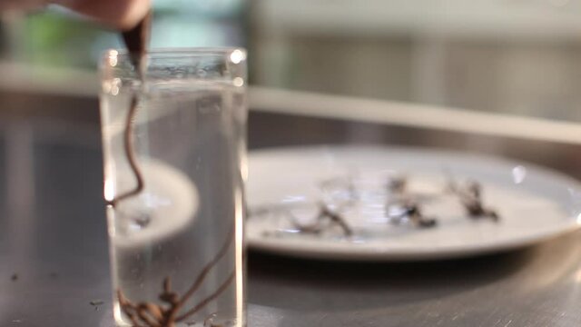Molding chocolate with water. Chocolate 
hardening