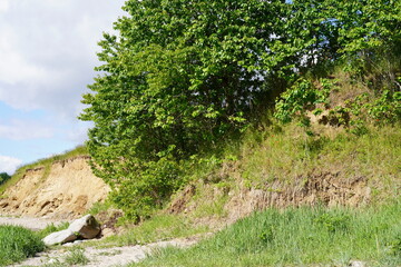 Steilufer der Ostsee im Sonnenlicht