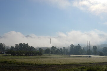 morning fog in spring