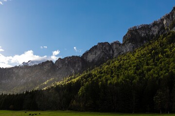Scenic View Of Green Landscape